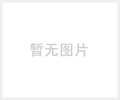 ZW32-12G/630-20 高压真空断路器带隔离柱上真空断路器