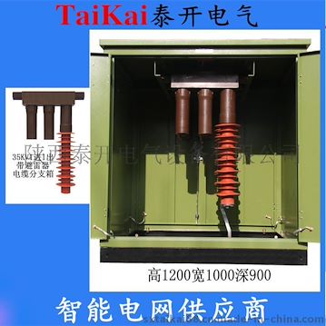 泰开电气供应35KV电缆分支箱一进一出带避雷器DFW-40.5